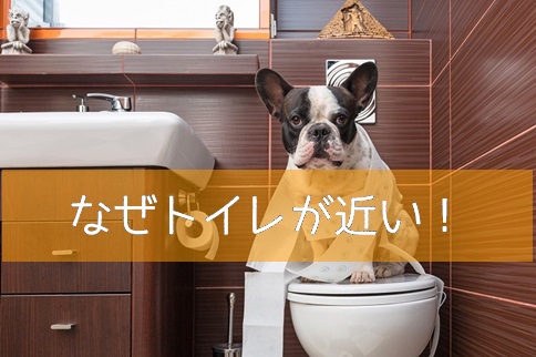 トイレが近い
