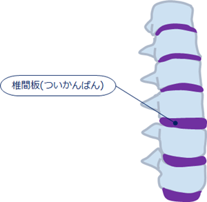 頸椎椎間板